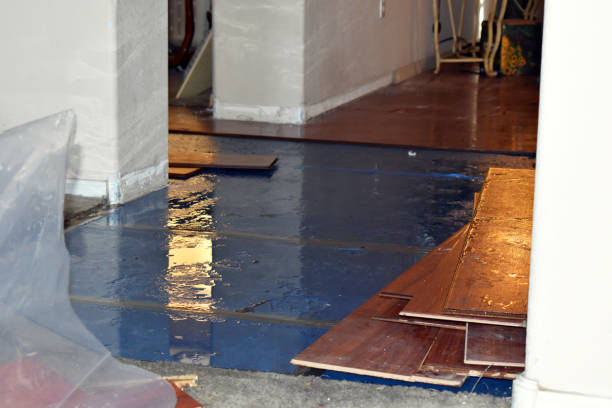 Professional Basement Flood Cleanup technician working in Elma, WA